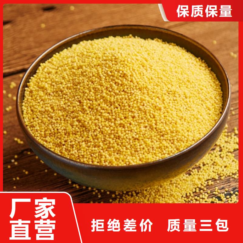 聚合氯化铝源厂定制