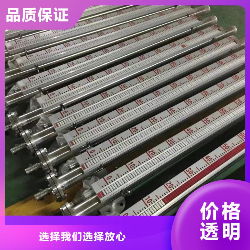 PDS483H-1GS2CC-AA03-D1DNG61