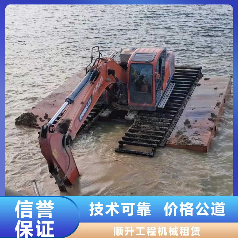 水上挖掘機租賃租賃大小船挖放心之選