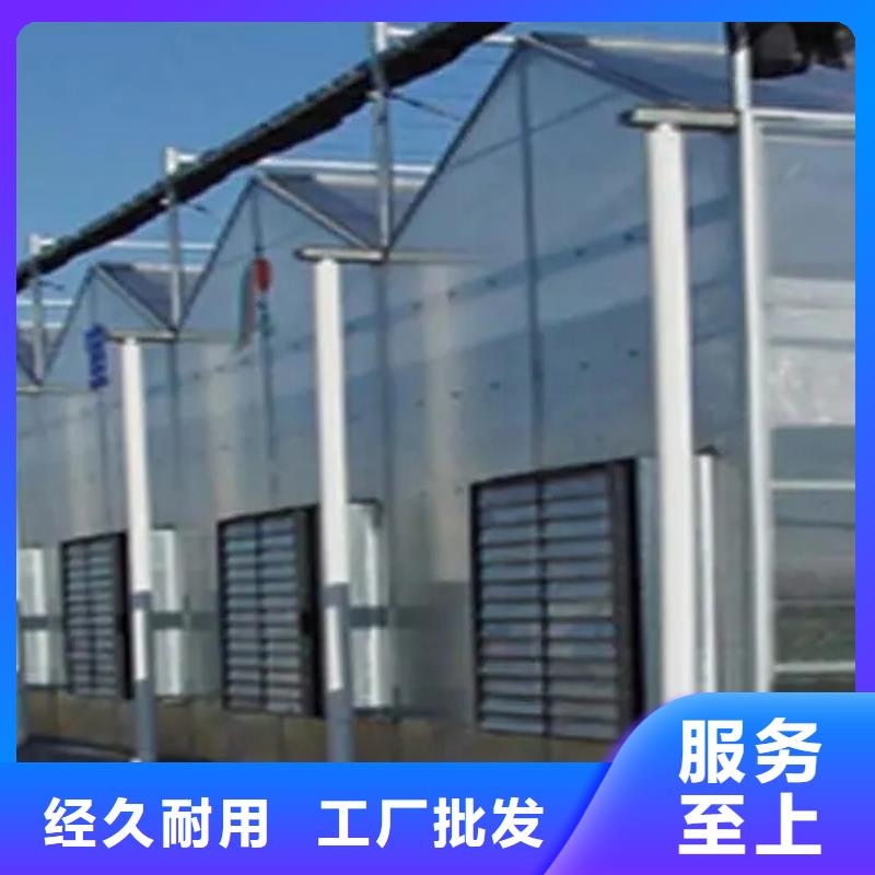 道縣花卉育苗大棚GLP8432【修飾詞