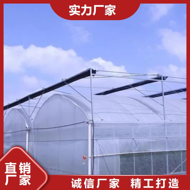 桃源縣葡萄避雨大棚生產基地
