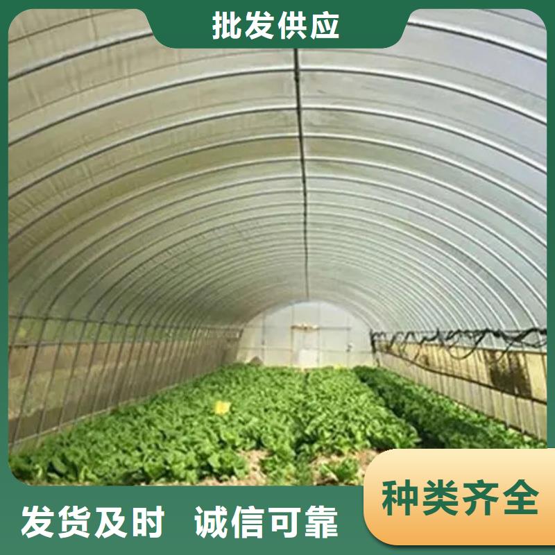 容城縣蔬菜大棚鋼管歡迎電詢