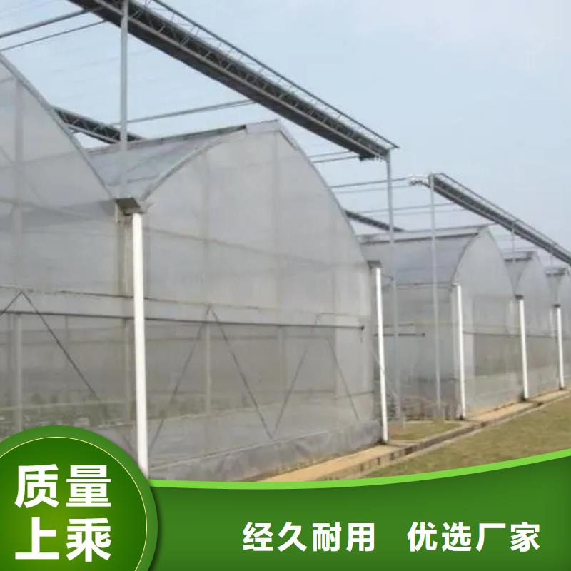 塔河縣西瓜草莓葡萄火龍果大棚歡迎電詢