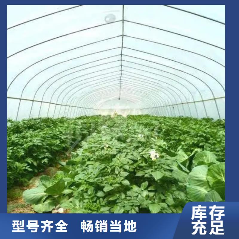 大嶺山鎮大棚鋼管廠家實力老廠