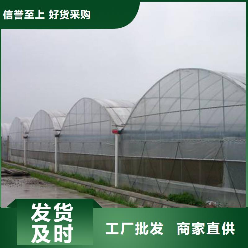 三臺縣草莓西瓜擦地棚廠家現貨