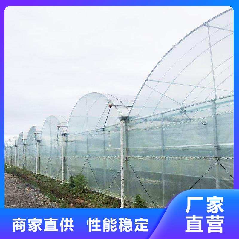 平果县进口PEP利得膜直销价格2025乡村振兴计划