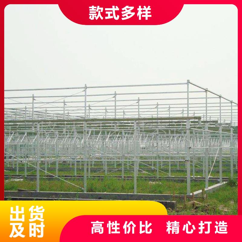 葡萄連體避雨大棚本地廠家2025--09