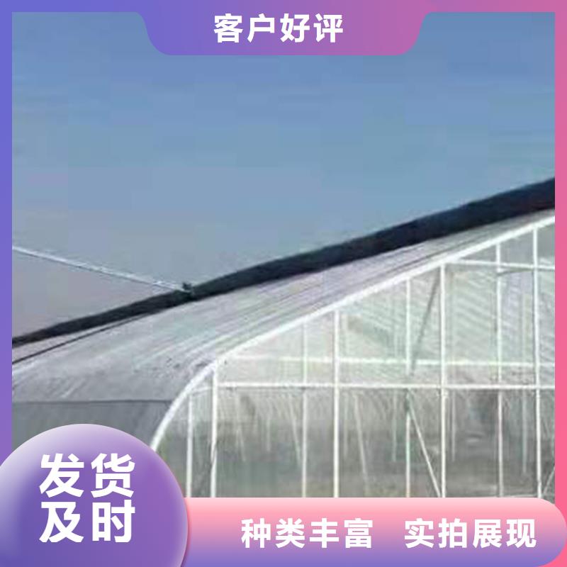 草莓大棚管本地廠家金榮圣大棚