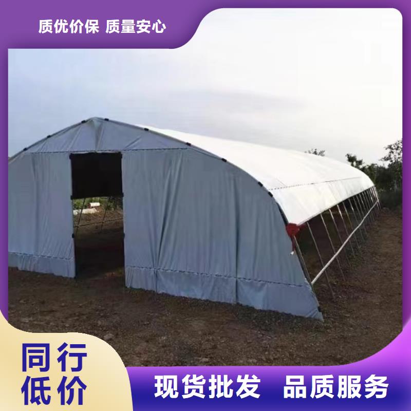 博愛縣蔬菜大棚廠家多少錢廠家價格