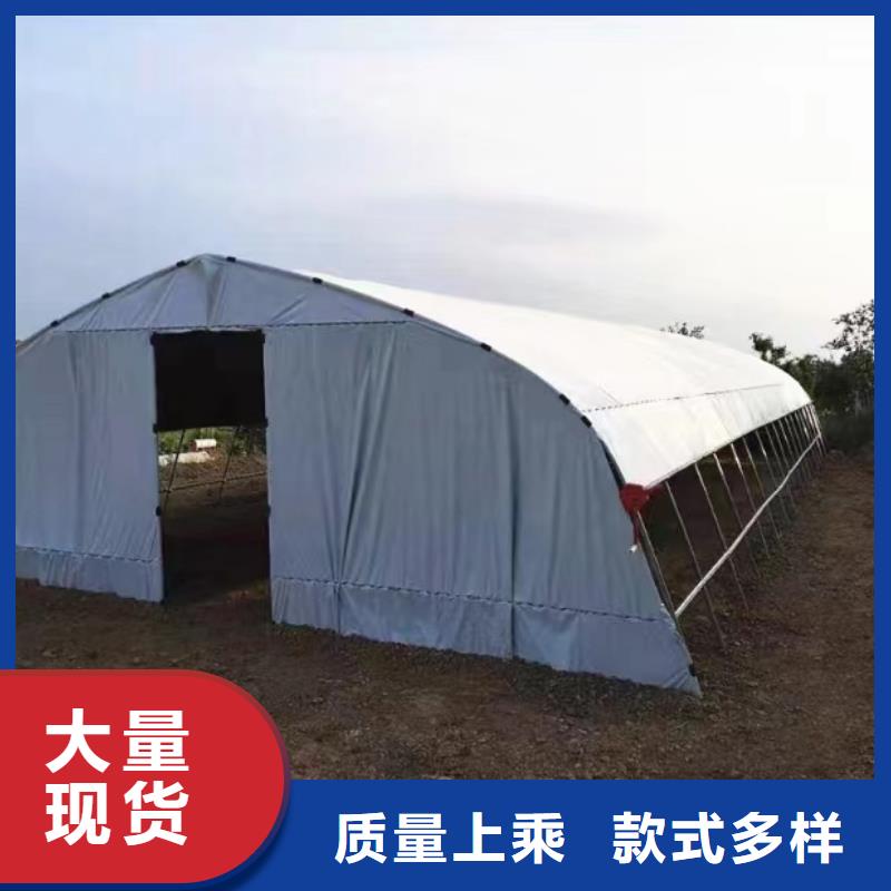 古浪縣進口利得綠白膜品質保障