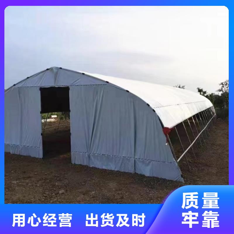 競秀區(qū)綠白精品薄膜誠信廠家2025=全國配送
