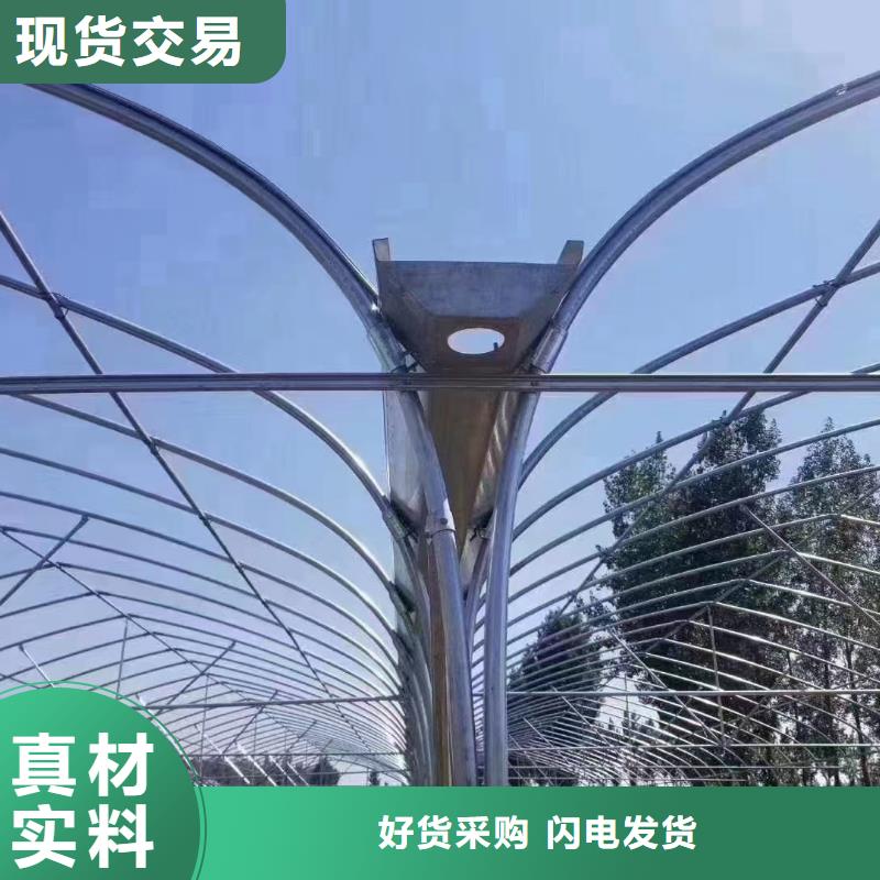 武陟縣育苗連棟大棚利得膜進口【修飾詞