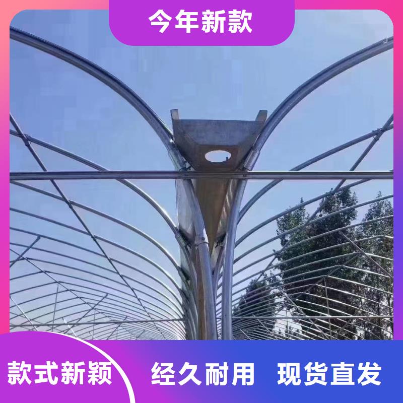 召陵大棚防風卡槽怎么用視頻
