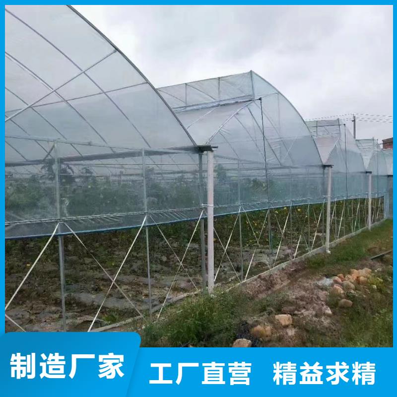 仁和區大棚T型卡本地廠家