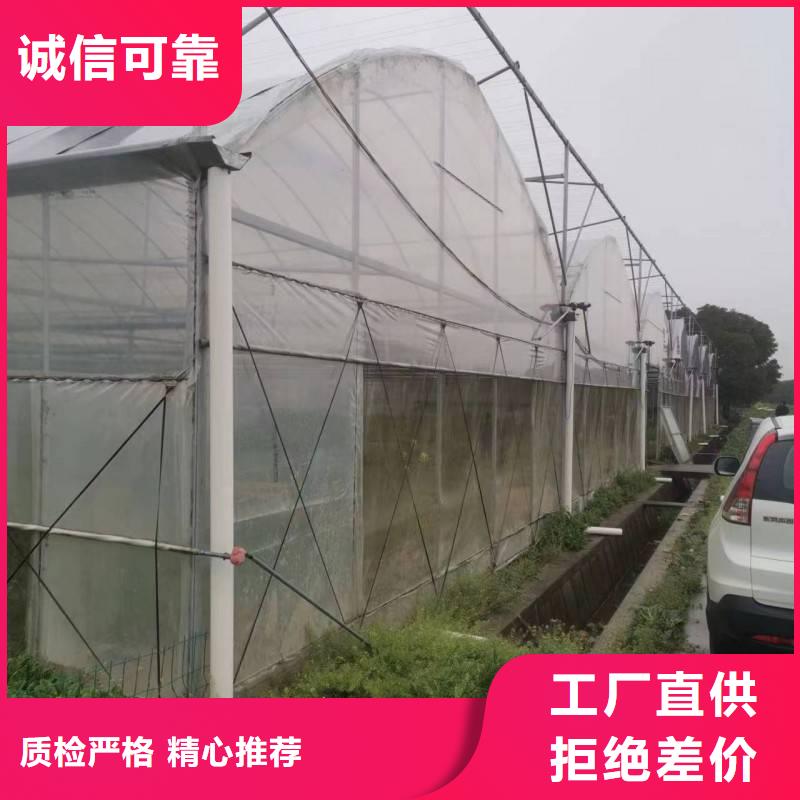 利津縣草莓大棚管源頭廠家