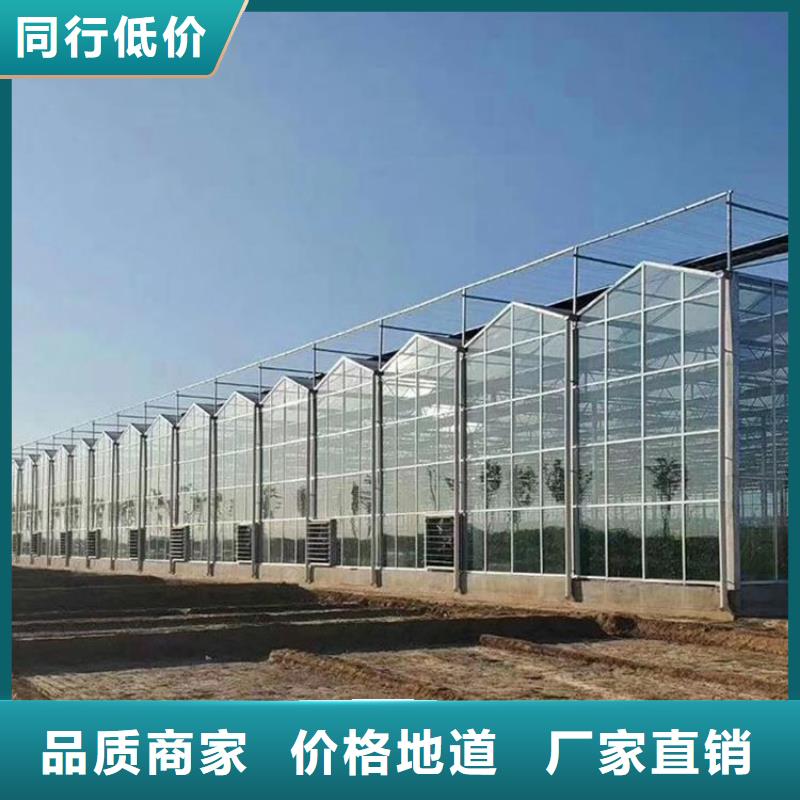 綠白精品薄膜口碑好2025=全國配送