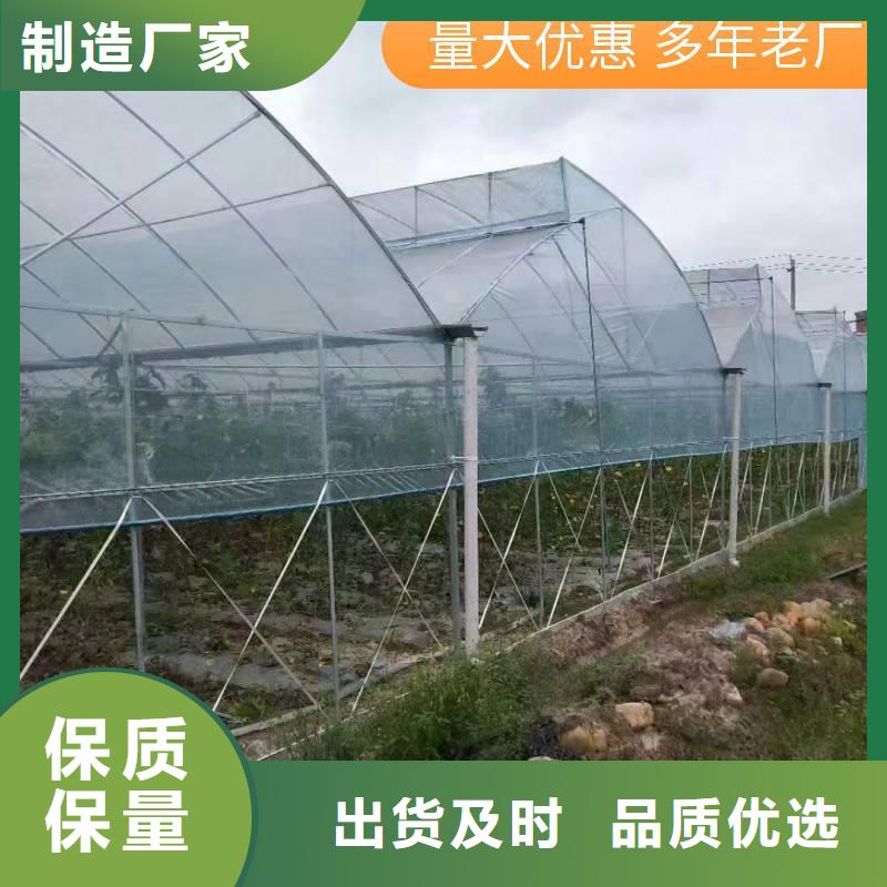 平壩縣花卉育苗大棚GLP8432【修飾詞