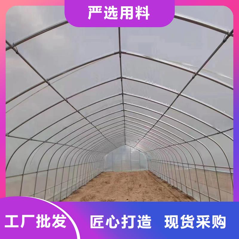 堯都區連棟大棚管本地廠家