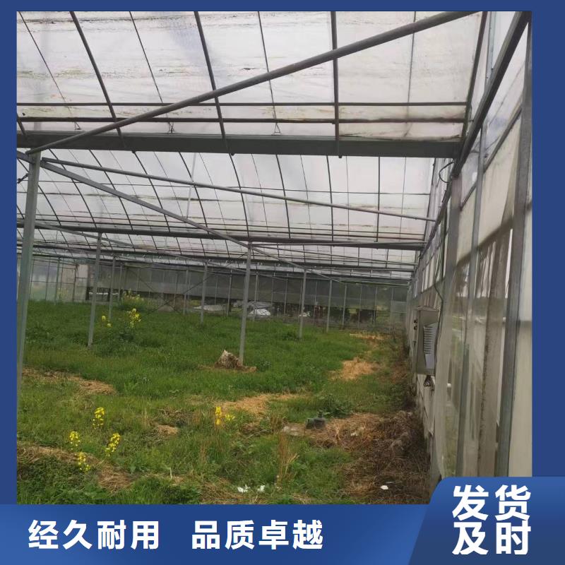 湯陰縣葡萄大棚薄膜實力廠家