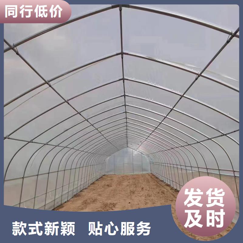 容城縣果樹(shù)瓜果大棚10年經(jīng)驗(yàn)2025--7