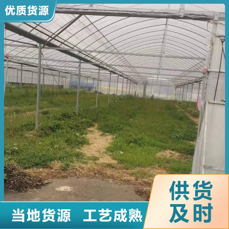 連棟溫室大棚圖片備貨充足