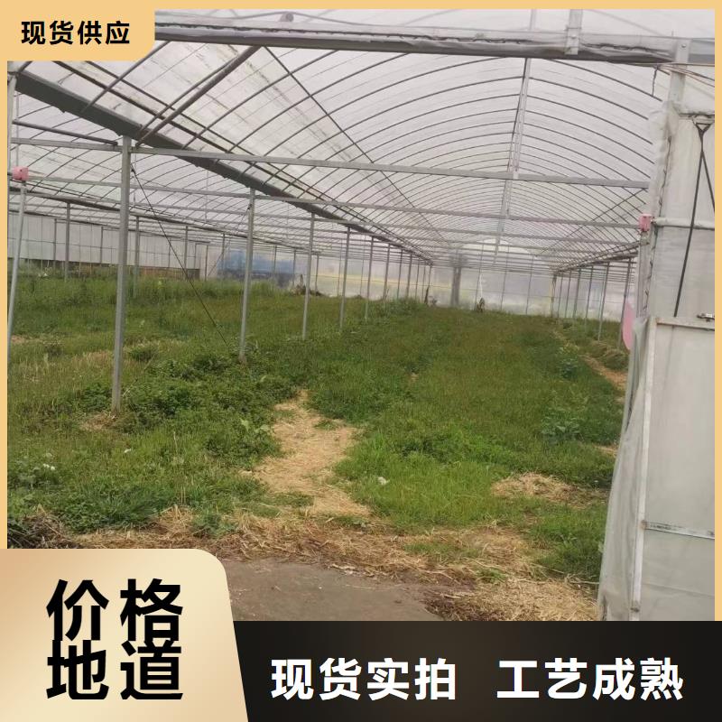 東昌區西瓜大棚膜【修飾詞