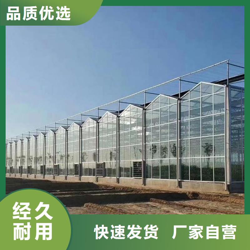上杭縣8432連棟薄膜大棚歡迎咨詢