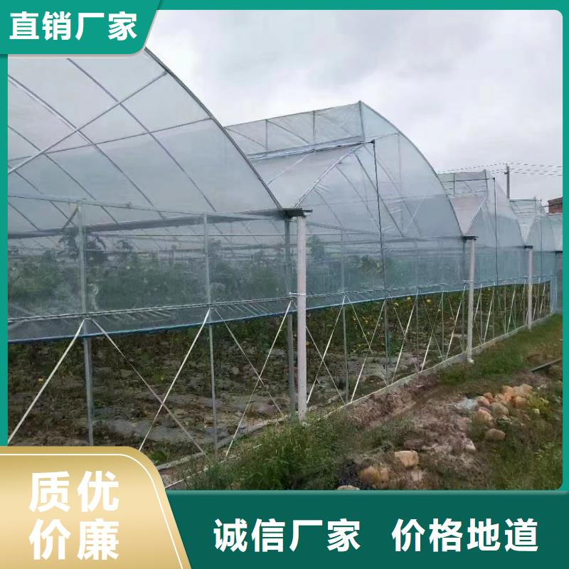蘭考縣葡萄大棚po膜【修飾詞