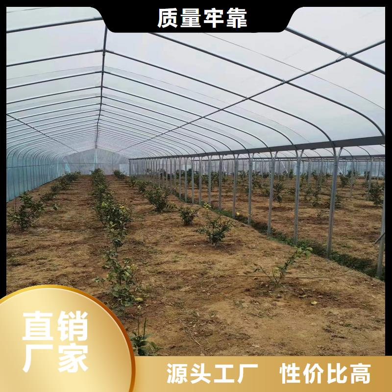 大觀大棚防風卡槽安裝圖