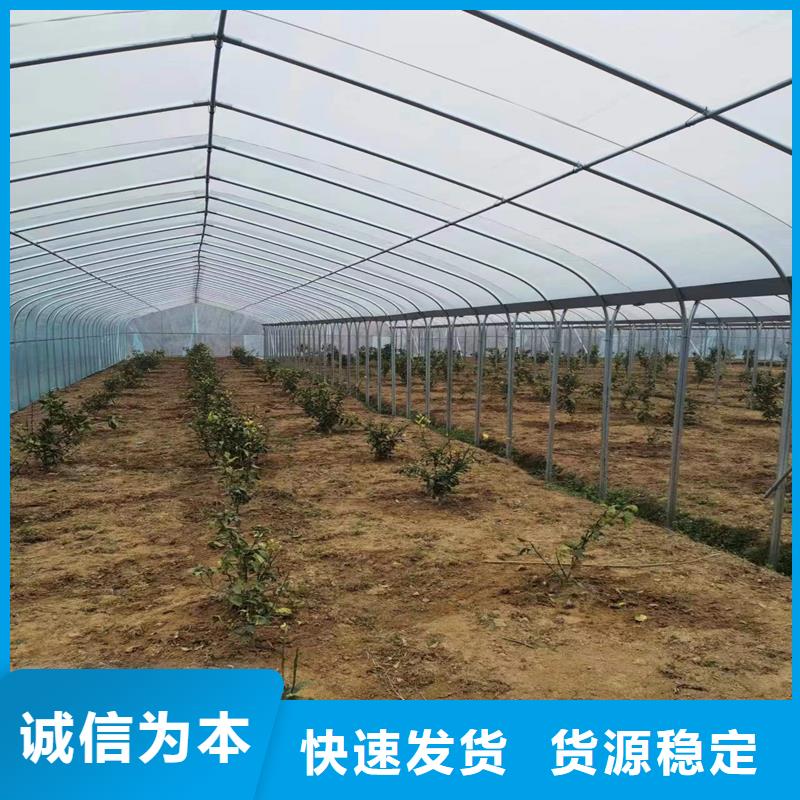 康縣西瓜大棚庫存充足