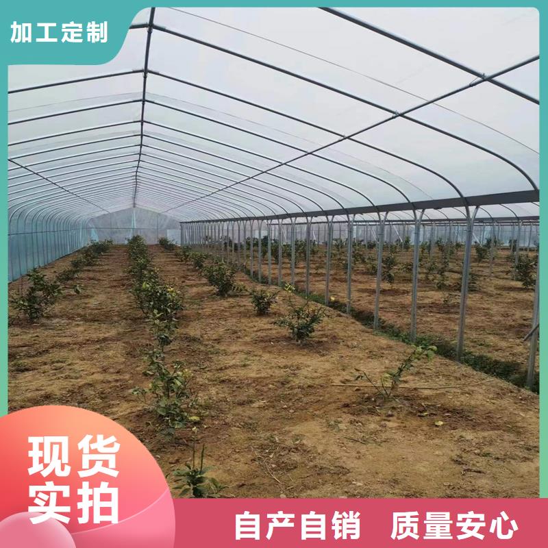 连栋温室大棚视频-连栋温室大棚-四川省南充市高坪|蓬安|凉山|广元|巴中|德阳|乐山|阿坝|泸州(同城)品牌