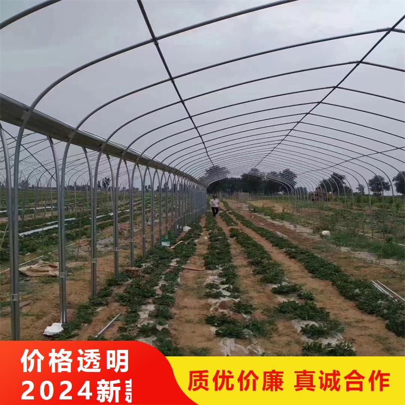 臺(tái)安縣養(yǎng)殖大棚歡迎電詢