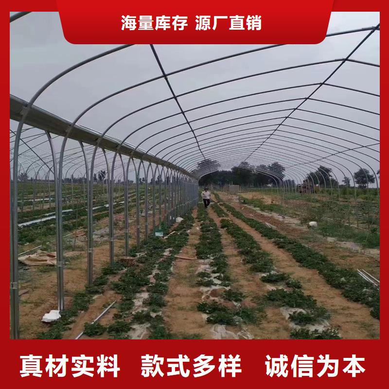 藍山縣大棚卡槽卡簧安裝視頻生產基地