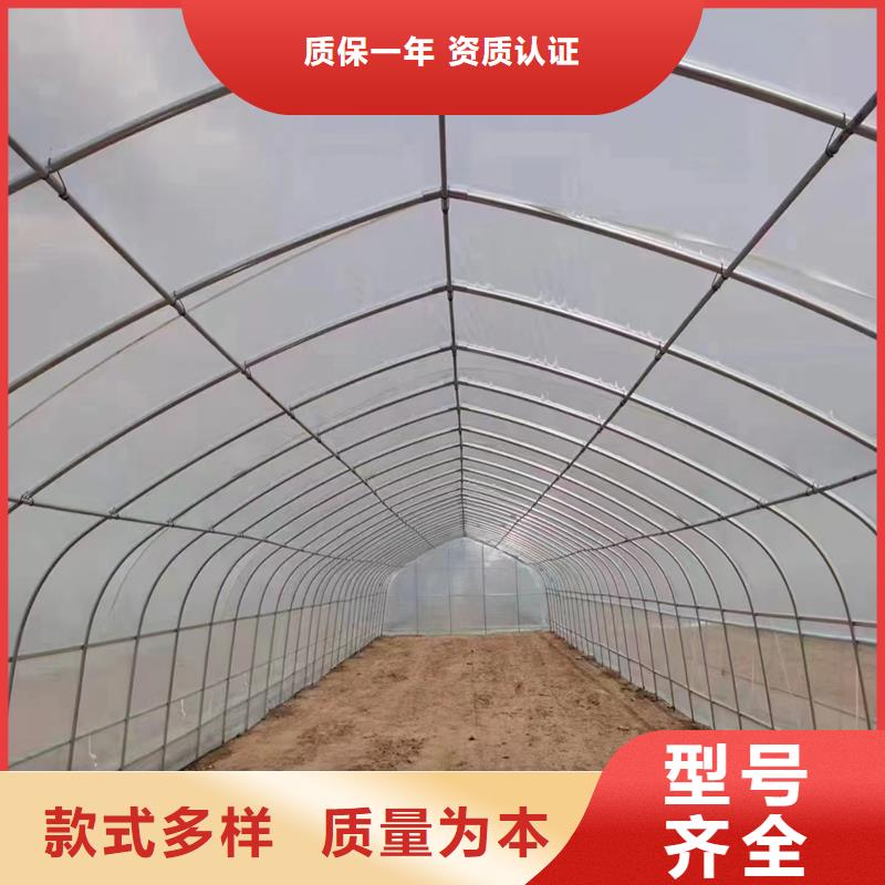 溫室連棟大棚廠家【修飾詞