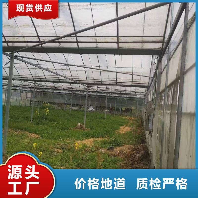 乳山市葡萄大棚專用膜實體大廠2025鄉村振興計劃