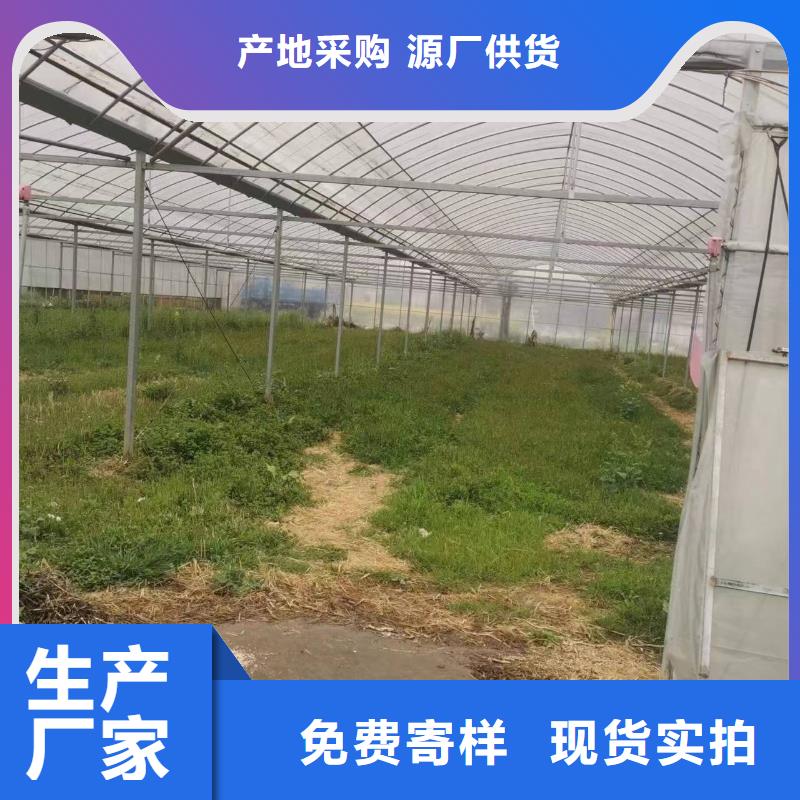 中草药大棚本地厂家金荣圣大棚