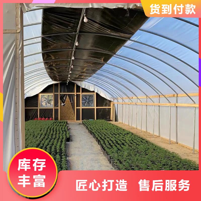 包河区杨梅大棚PO膜现货供应2025乡村振兴计划