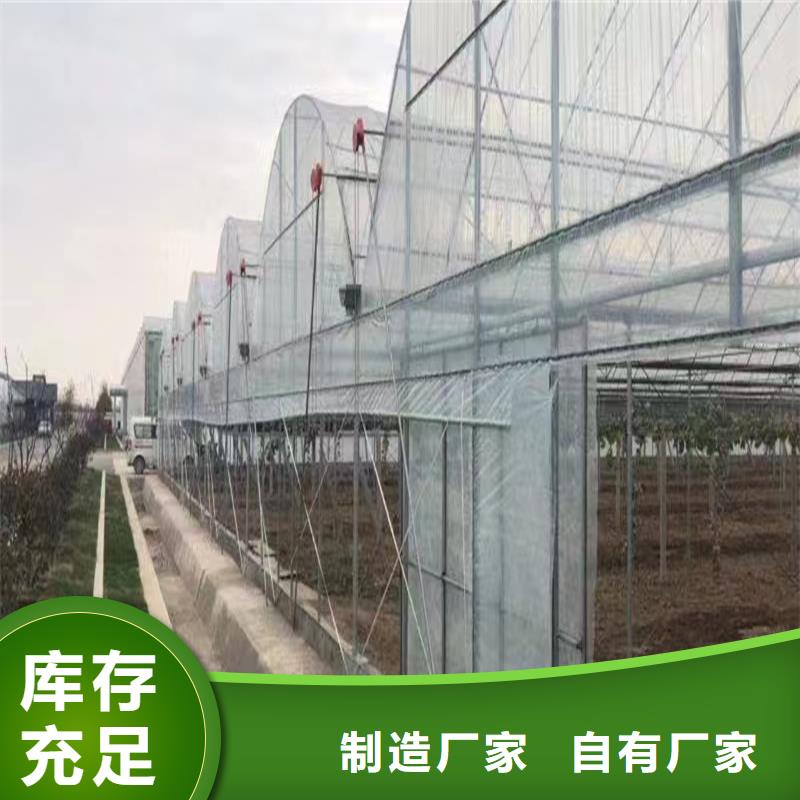 湯陰縣葡萄大棚薄膜實力廠家