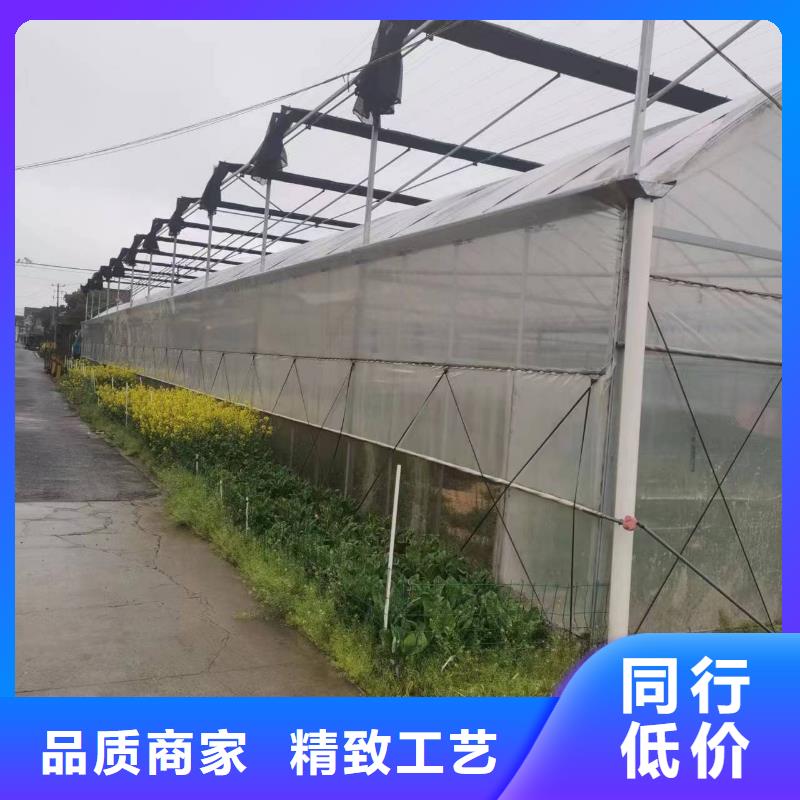 縣連體葡萄大棚源頭廠家