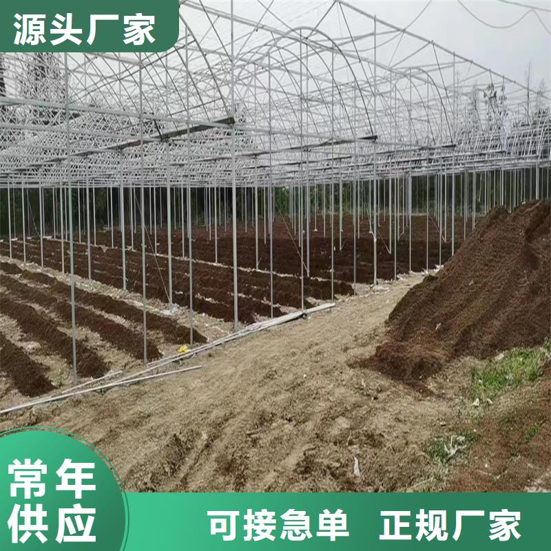 大洼縣花卉育苗大棚GLP8432【修飾詞