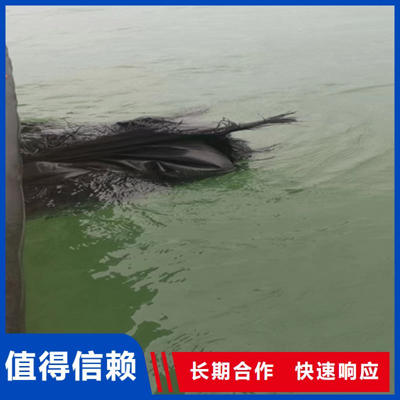 水下樁基檢測歡迎咨詢
