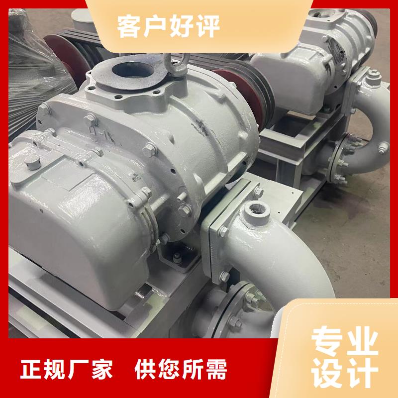 山東臨風科技氧化風機LFSR80