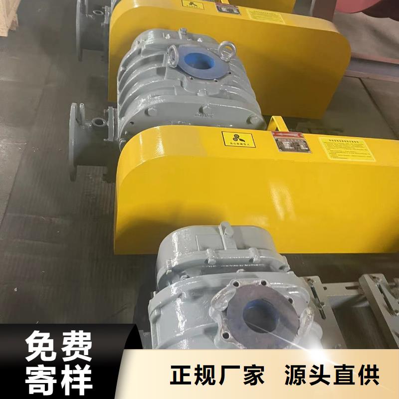 每日三葉羅茨鼓風(fēng)機(jī)LFSR125