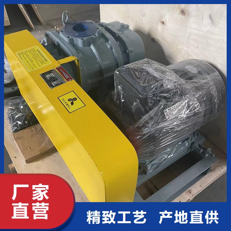 山東臨風科技股份有限公司羅茨鼓風機LFSR200