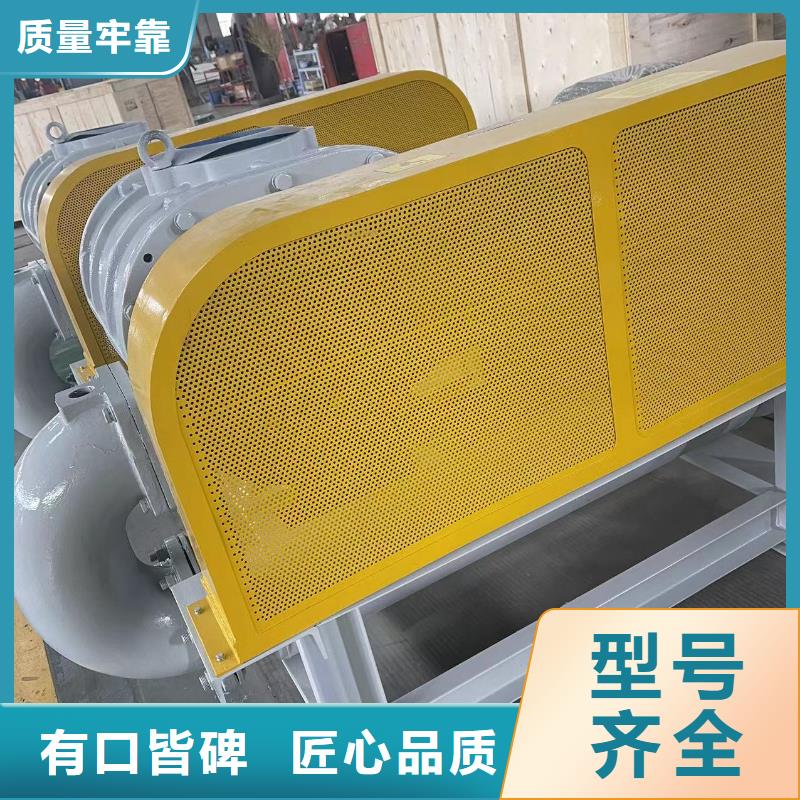山東臨風科技股份L系列羅茨風機LFSR300