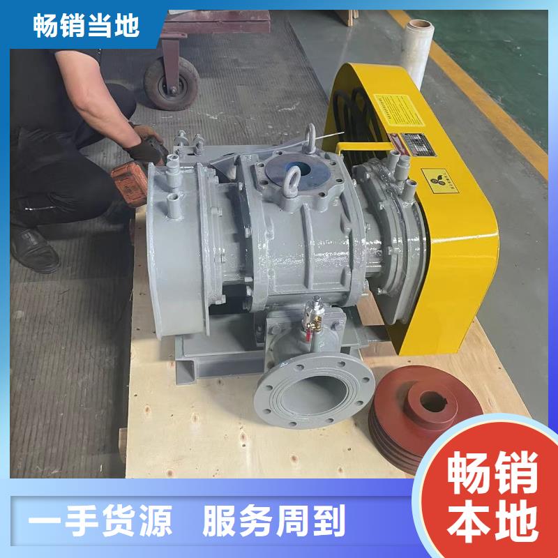 臨風(fēng)股份返料風(fēng)機(jī)LFSR100