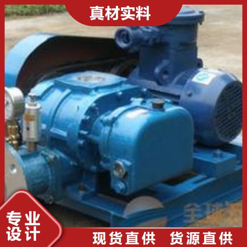 2025羅茨鼓風(fēng)機LFSR300