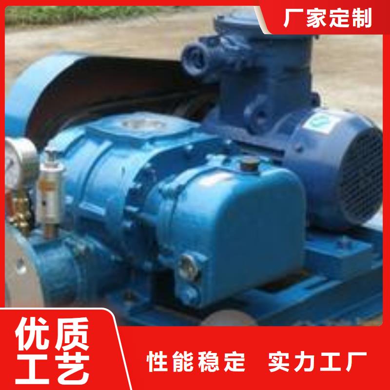每日三葉羅茨鼓風機LFSR125
