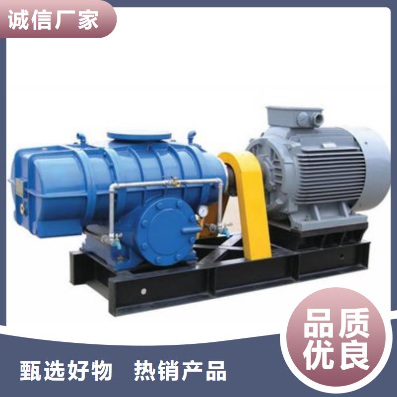 山東臨風(fēng)科技股份洗煤專用羅茨風(fēng)機(jī)LFSR250