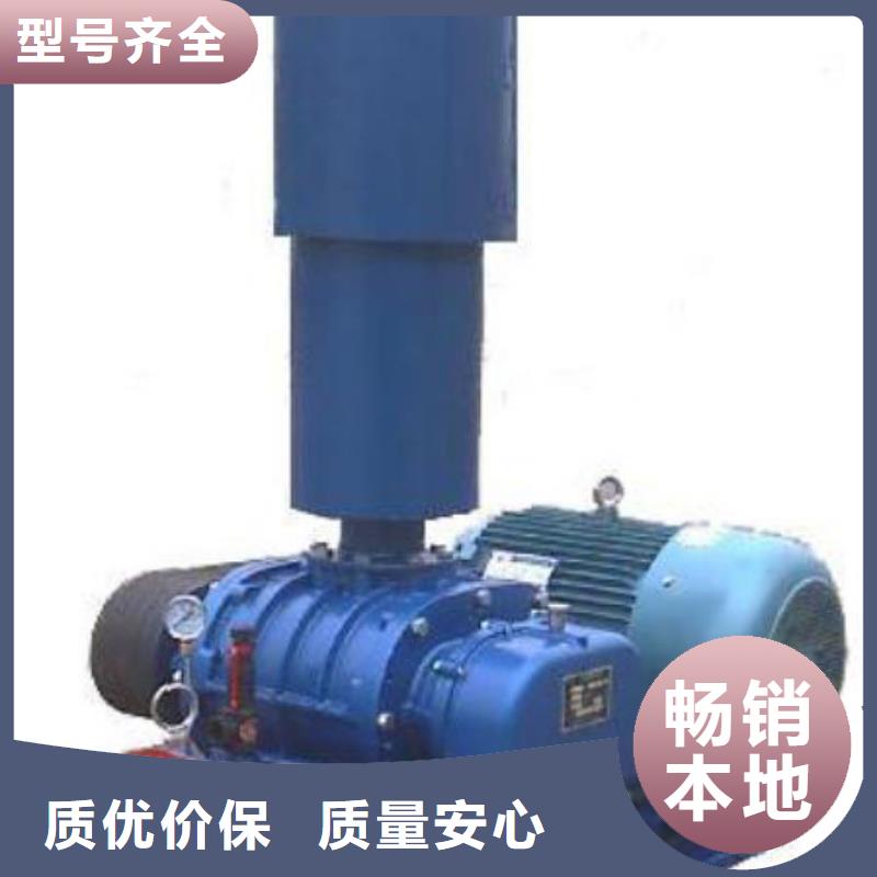 山東臨風科技股份三葉羅茨鼓風機LFSR65